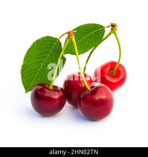 twin cherries on white background Stock Photo