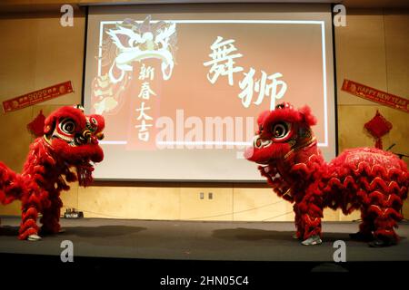 New Orleans, USA. 12th Feb, 2022. A lion dance group performs during Lantern Festival Gala held at Tulane University, New Orleans, Louisiana, the United States, on Feb. 12, 2022. The celebration is organized by Tulane University Chinese Students and Scholars Association with the active participation of various local Chinese communities. Credit: Lan Wei/Xinhua/Alamy Live News Stock Photo