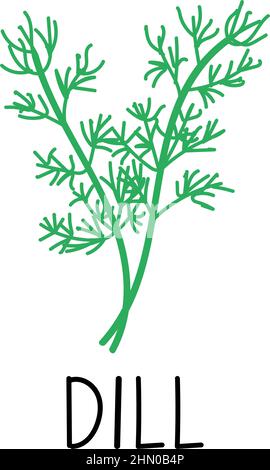 Dill, hand drawn element in doodle style. Logo and emblem packaging design template - spices and herbs - dill sprigs. Logo in trendy linear. Stock Vector