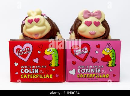 M&S Love is in the Air Colin & Connie the Caterpillar Valentines Cakes Stock Photo