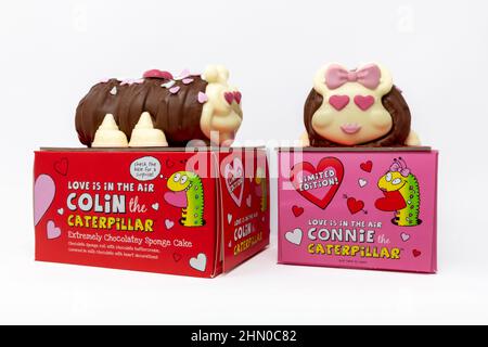 M&S Love is in the Air Colin & Connie the Caterpillar Valentines Cakes Stock Photo