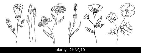 Collection of doodle flowers in a linear style. Set of floral elements for any design. Vector black outline flowers hand drawn isolated on white Stock Vector