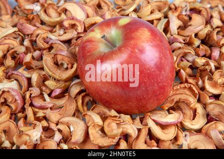 One ripe red apple on dried apple slices Stock Photo
