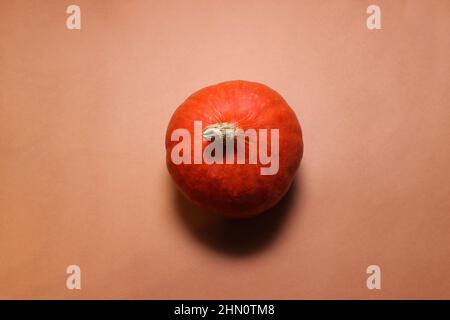 Single fresh orange miniature pumpkin isolated on orange background Stock Photo