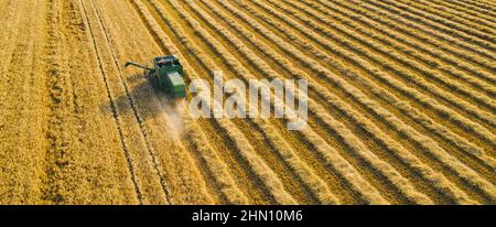 Harvesting wheat in summer. Combine harvester of an agricultural machine collects ripe golden wheat on the field. View from above. Stock Photo