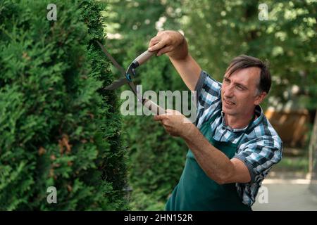 Man pruning tree with clippers. Male farmer cuts branches in spring garden with pruning shears or secateurs Stock Photo