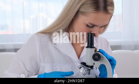 Female scientist laboratory assistant looks at a petri dish with genetically modified samples of chemicals under a microscope. Microbiologist works in Stock Photo