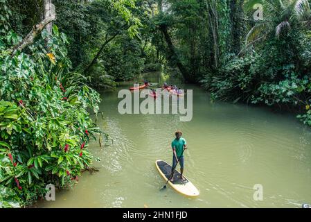 Kayaking in the jungle, Puerto Viejo, Costa Rica Stock Photo - Alamy