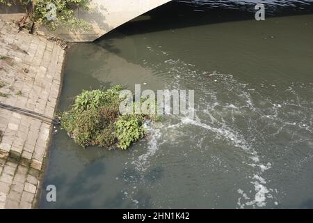 Polution on lake. Dirty water  Stock Photo