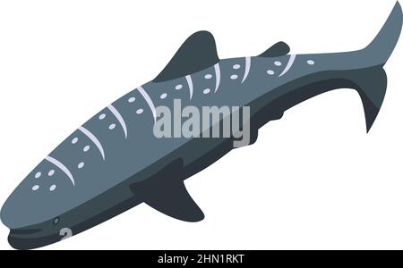 Whale shark animal icon isometric vector. Fish sea. Marine species Stock Vector