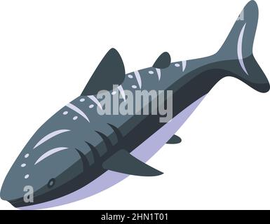 Aquarium whale shark icon isometric vector. Marine species. Ocean fish Stock Vector