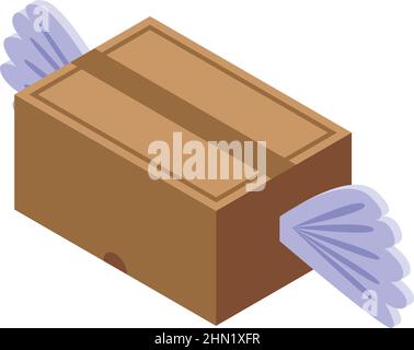 Fly express parcel icon isometric vector. Free delivery. Quick order Stock Vector