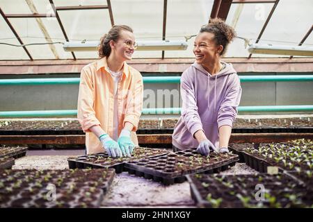 Two young happy female colleagues in work wear replanting seedlings in large greenhouse and looking at one another during talk Stock Photo