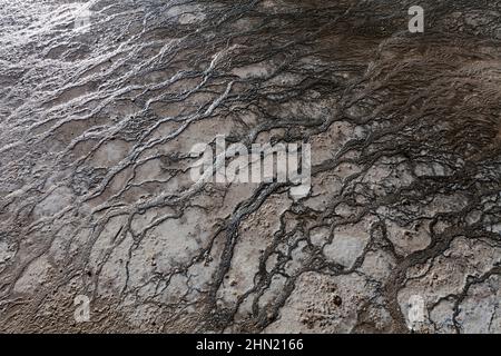 Bacterial mats in runoff water, Grand Prismatic Spring, Midway Geyser Basin, Yellowstone NP, Wyoming Stock Photo