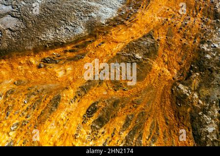 Bacterial mats in runoff water, Grand Prismatic Spring, Midway Geyser Basin, Yellowstone NP, Wyoming Stock Photo