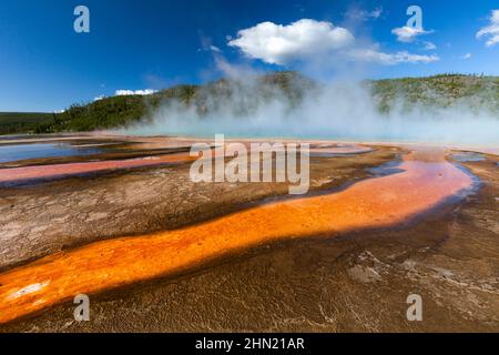 Thermophile bacterial mats and steam rising from Grand Prismatic Spring, Midway Geyser Basin, Yellowstone NP, Wyoming, USA Stock Photo