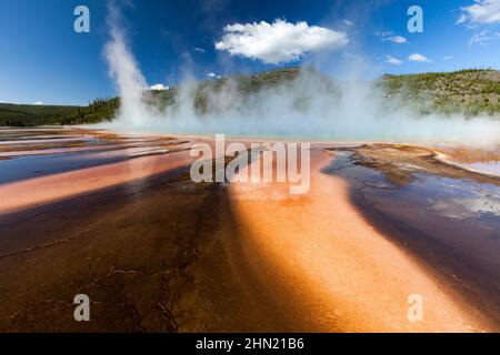 Thermophile bacterial mats and steam rising from Grand Prismatic Spring, Midway Geyser Basin, Yellowstone NP, Wyoming, USA Stock Photo