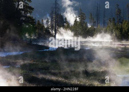 Steam rising from runoff water in streams, early morning, Midway Geyser Basin, Yellowstone NP, Wyoming, USA Stock Photo