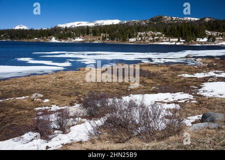 Little Bear Lake, Beartooth Highway, Montana Stock Photo