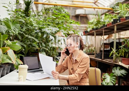 Young elegant owner of orangerie or florist shop checking data in bills and talking on mobile phone while sitting on chair by desk Stock Photo