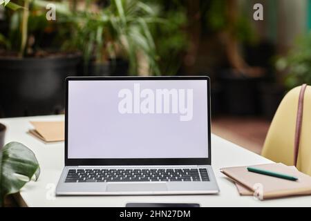 Laptop computer with blank screen standing on desk among office supplies, chair with handbag and various green garden plants Stock Photo
