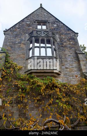 The romantic ruins of Nymans, destroyed by fire in 1947, and now supporting a mature wisteria: West Sussex, UK Stock Photo