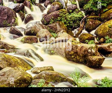 Superb Becky Falls, Water rushing through ancient woodland, natural intimate landscape Stock Photo