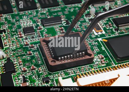 Integrated circuit is installing by tweezers to PLCC socket on Printed Circuit Board with integrated circuits and many other passive electrical compon Stock Photo