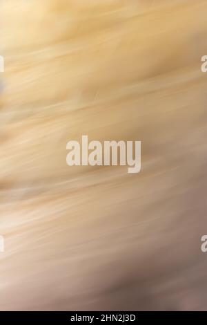 Sandy gray background with small lines and diagonal waves. Vertical digital abstraction. Back. Stock Photo