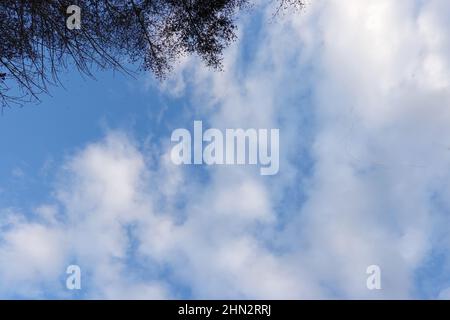 slight clouds in the blue sky Stock Photo