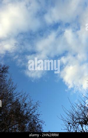 slight clouds in the blue sky Stock Photo