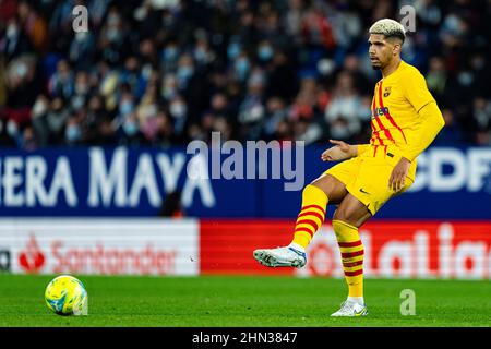 Barcelona, Spain. 13th Feb, 2022. Ronald Araujo (FC Barcelona) during La Liga soccer match between RCD Espanyol and FC Barcelona, at Cornella-El Prat Stadium on February 13, 2022 in Barcelona, Spain. Foto: Siu Wu. Credit: dpa/Alamy Live News Stock Photo