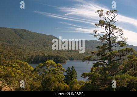 Native eucalypt forest surrounds the Maroondah Reservoir beside the Maroondah Higway, outside Healesville,. Victoria, Australia Stock Photo