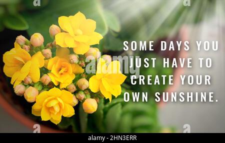 Motivational and Inspirational Quotes - Some days you just have to ...