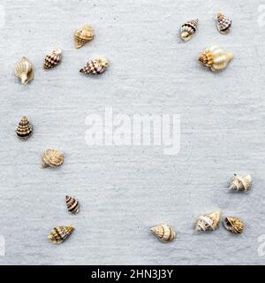 various emtpy snail shells on handmade paper Stock Photo