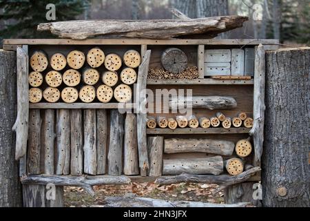 Bee house, a habitat created for bees in a forest Stock Photo
