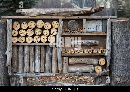 Bee house, a habitat created for bees in an urban forest Stock Photo