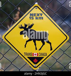 Moose crossing sign along the Trans Canada Trail in the city of Calgary Stock Photo