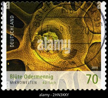 Postage stamp from Federal Republic of Germany in the Microworlds 2015 series Stock Photo