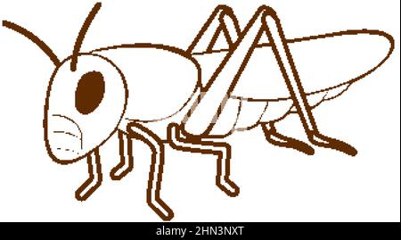 Grasshopper in doodle simple style on white background illustration Stock Vector