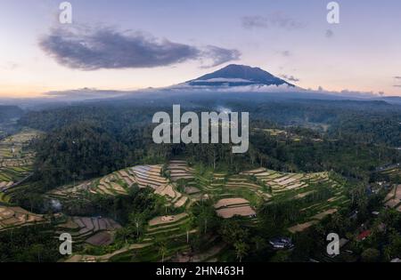 Stunning Balinese landscape with Mt Agung volcano rising above the Muncan rice terraces near Ubud in Bali at sunset in Indonesia Stock Photo