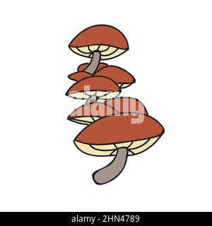 Honey mushroom. Simple hand drawn isolated illustration on white background Stock Vector