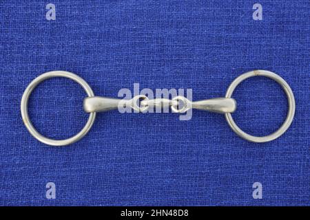 Domestic horse. Double jointed snaffle bit. Studio picture on blue background Stock Photo