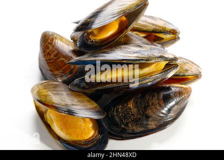Boiled mussel isolated on a white background. deliciousness Stock Photo
