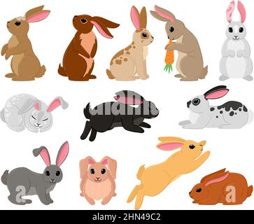 Cute Cartoon Bunny Jumping With Carrot On Orange Background. Vector 