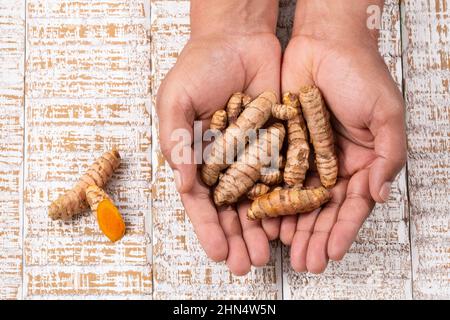 Curcuma Longa - Male Hands Holding Fresh Turmeric Roots Stock Photo