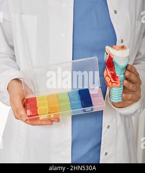 Thyroid health concept in healthcare. Thyroid anatomical model and pill organizer in endocrinologist hands, close-up Stock Photo