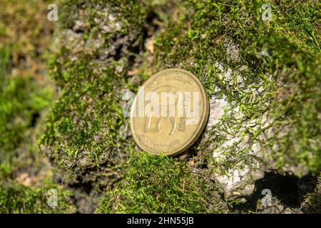 Old coins in the forest on green moss Stock Photo