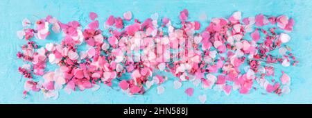 Valentine day panorama with pink hearts and flowers confetti, a flat lay panoramic banner on a blue background Stock Photo