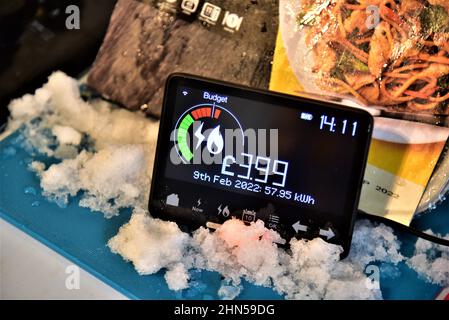 Smart meter to illustrate the increase of electricity and gas bills. . Smart meter shows a daily budget exceeded with some people facing  heat or eat Stock Photo